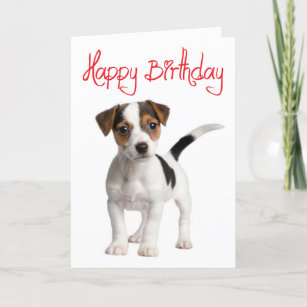 Geburtstag Bilder Hund Gb Bilder Gb Pics Gastebuchbilder