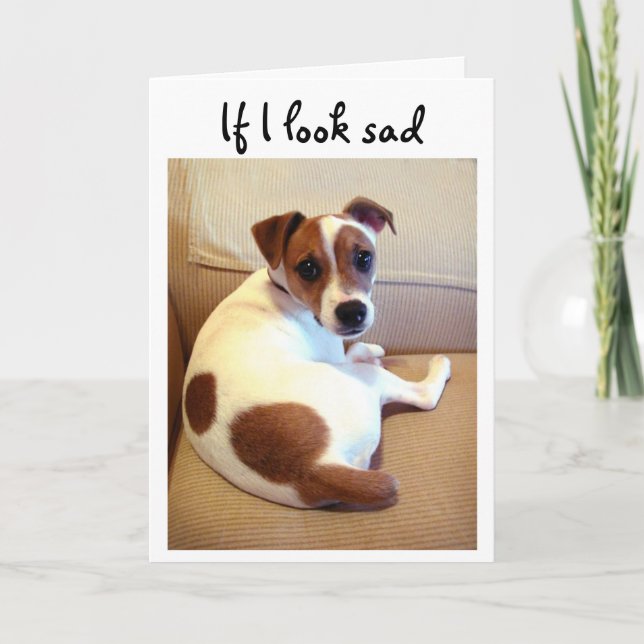 Jack-Russell-Terrierwelpen-Grußkarte Karte (Vorderseite)