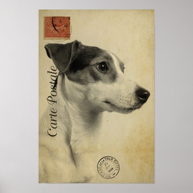 Jack Russell Vintag Postcard Poster (Vorne)