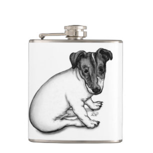 Jack Russell Welpe 10 Wochen alt Flachmann