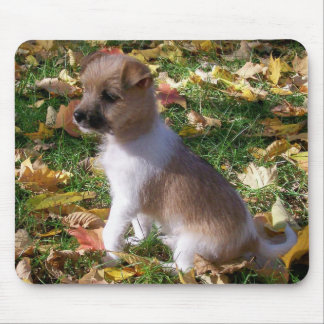 Jack-Russell-Welpe Mousepad