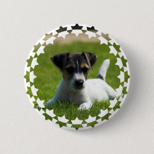 Jack-Russell-Welpen-runder Knopf Button