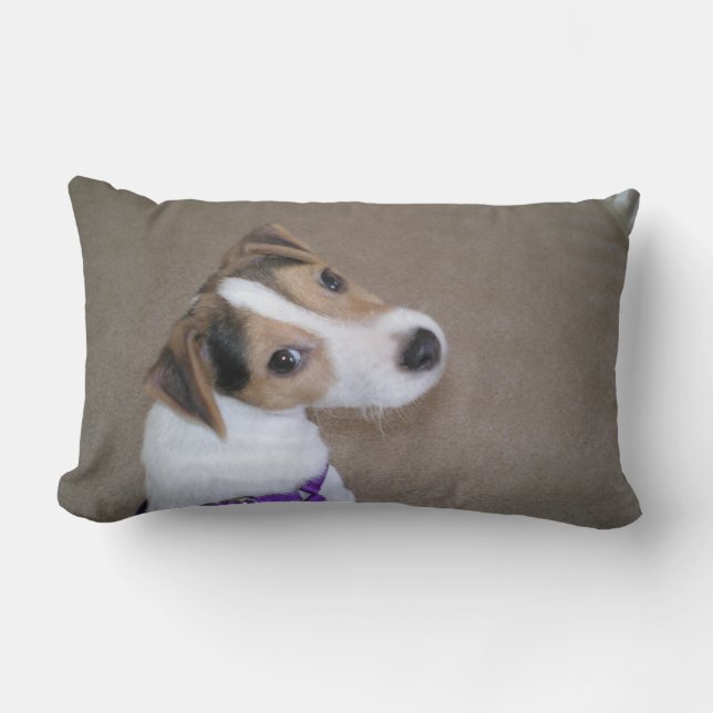 Jack-Russell-Welpenkissen Lendenkissen (Vorderseite)
