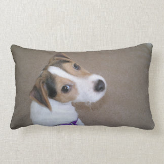 Jack-Russell-Welpenkissen Lendenkissen