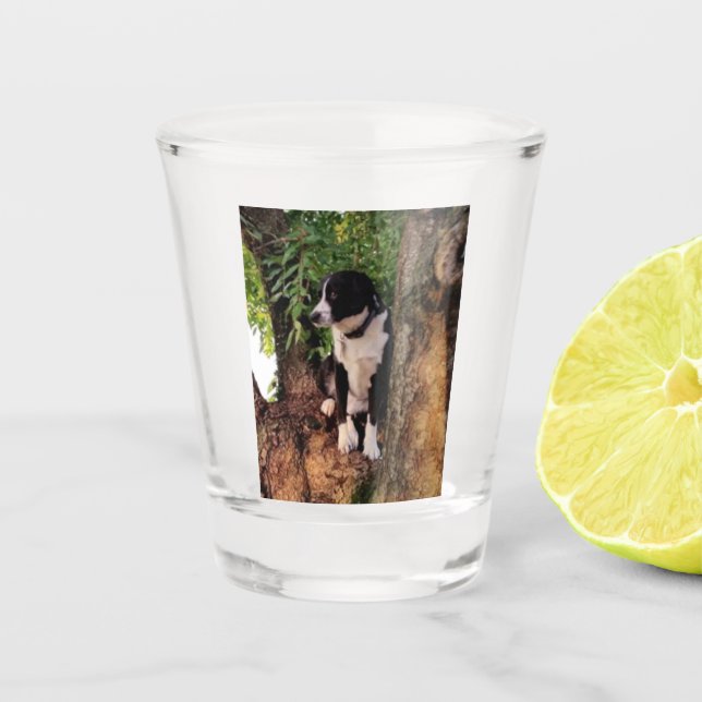 JACK SCHNAPSGLAS (Vorderseite)