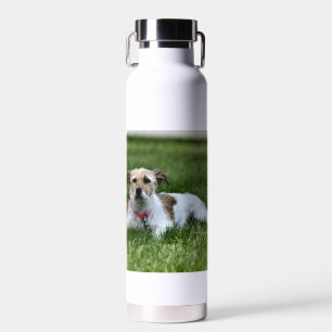 Jack Trinkflasche