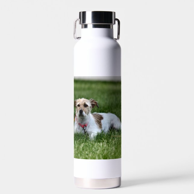 Jack Trinkflasche (Vorne)