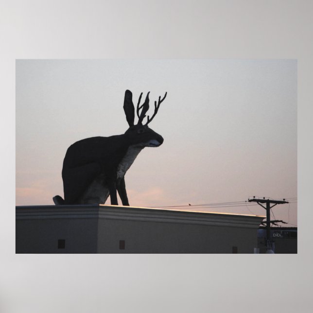 Jackalope Poster (Vorne)