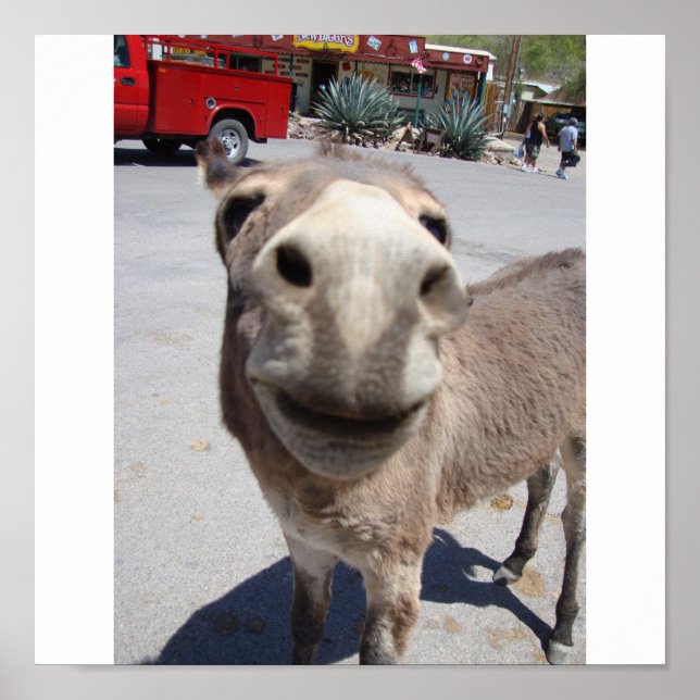 Jackass 002 poster (Vorne)