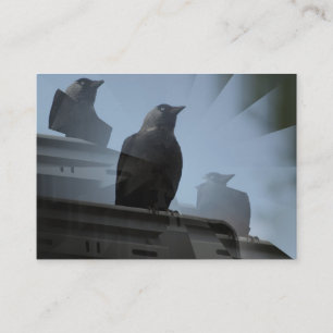 Jackdaw Bird Business Card Visitenkarte