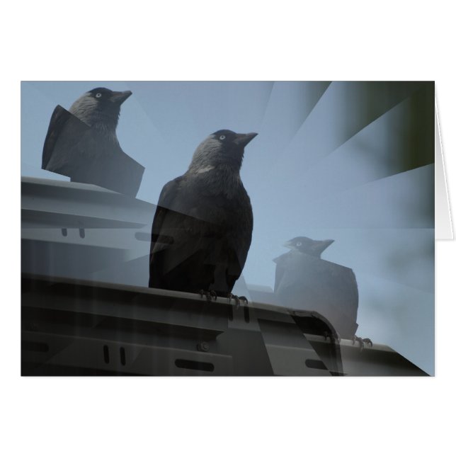 Jackdaw Bird Card (Vorderseite (Horizontal))