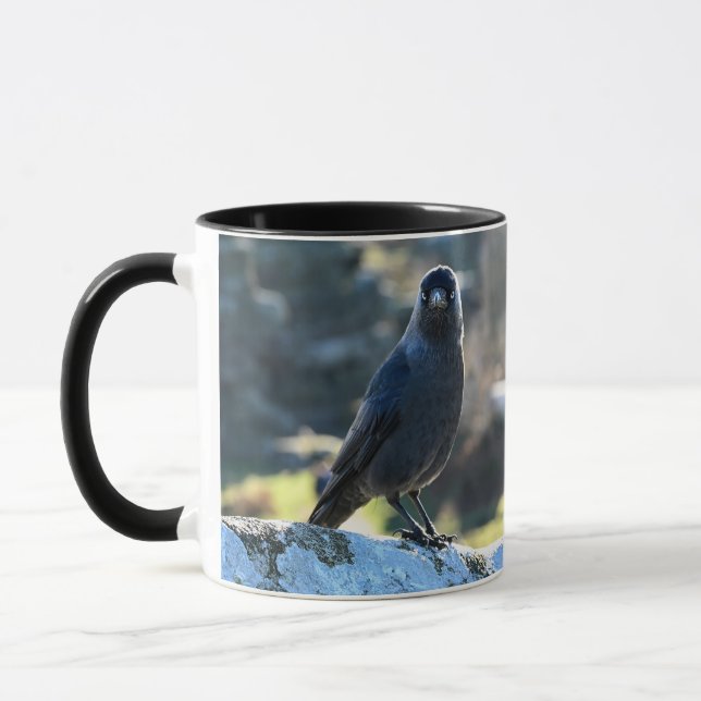 Jackdaw duo tasse (Links)