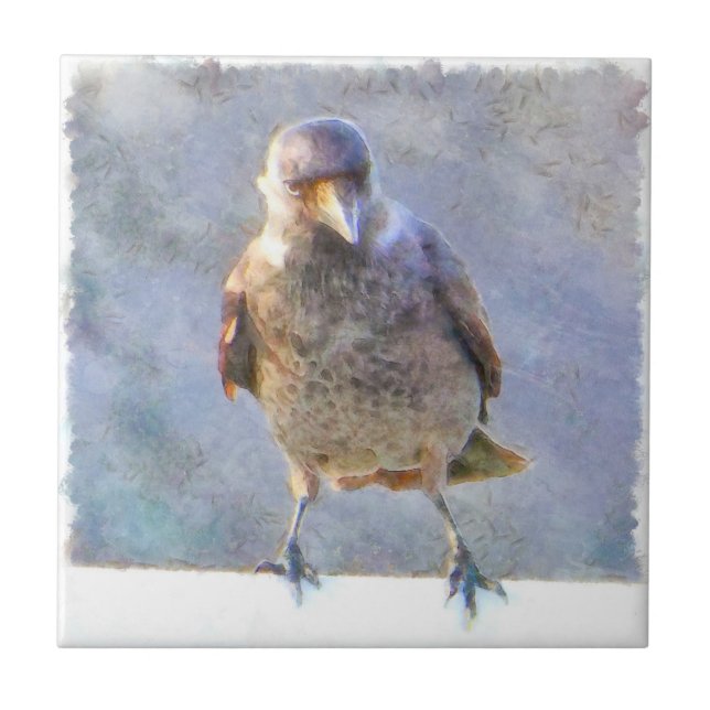 Jackdaw Watercolor Fliese (Vorderseite)