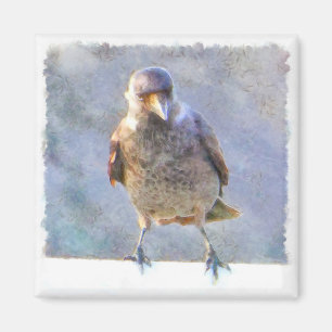 Jackdaw Watercolor Magnet