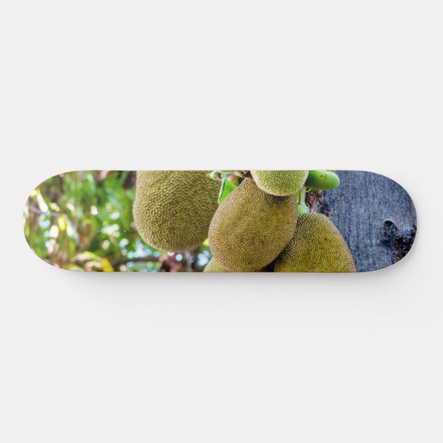 Jackfrucht Skateboard (Horizontal)