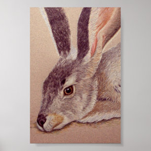 Jackkaninchen Poster