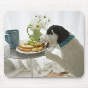 Jackrussell-Terrier. 2 Mousepad