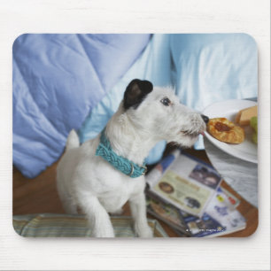 Jackrussell-Terrier Mousepad