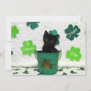 Jack's St. Patrick's Day Chat/ Kitten - Carte Plat