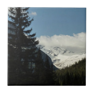 Jackson Glacier Aussichtspunkt im Glacier National Fliese