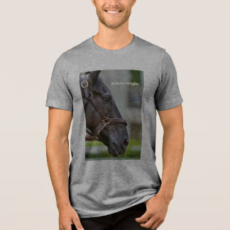 Jackson Heights - Vollblut-T-Shirt Tri-Blend Shirt