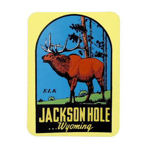 Jackson Hole, Wyoming Magnet