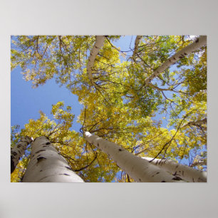 Jackson Hole Wyoming Series Poster