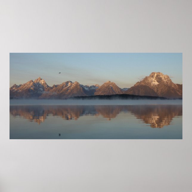 Jackson Lake Dam Reflection in Grand Teton Park Poster (Vorne)