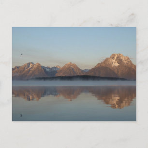 Jackson Lake Dam Reflection in Grand Teton Park Postkarte