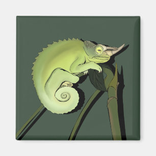 Jackson's Chameleon Magnet