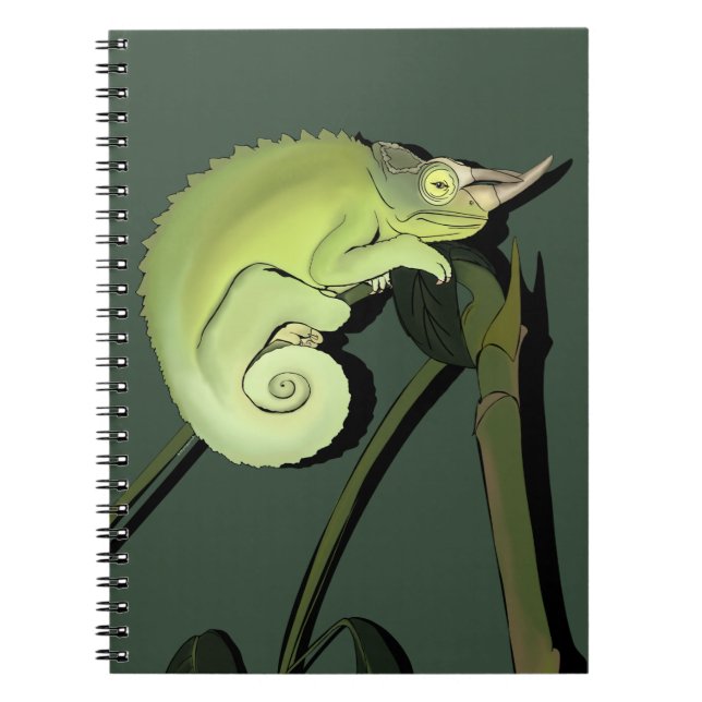 Jackson's Chameleon-Notebook Notizblock (Vorderseite)