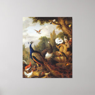 Jacob Bogdani Peacock Peahen Parrots Canary Leinwanddruck