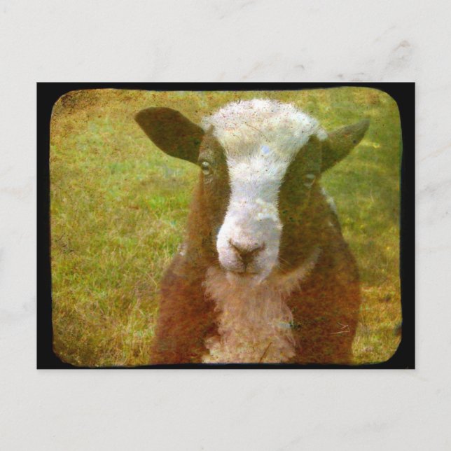 Jacob-Lamm Postkarte (Vorderseite)