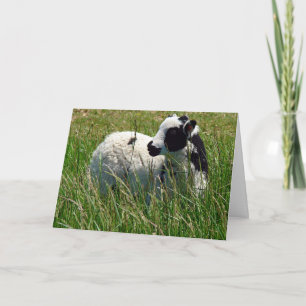 Jacob Ram Lamm Ostern Karte