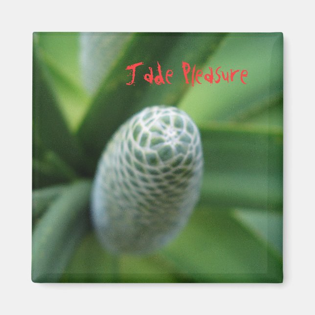 Jade Pleasure Magnet (Vorne)