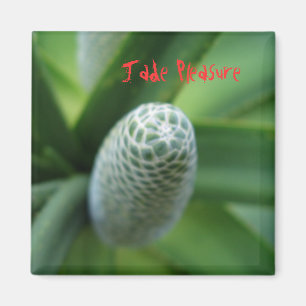 Jade-Vergnügen Magnet