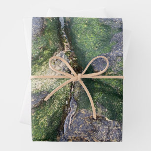Jadegrüne Moosfelsen am Strand von Toowoon Bay Geschenkpapier Set