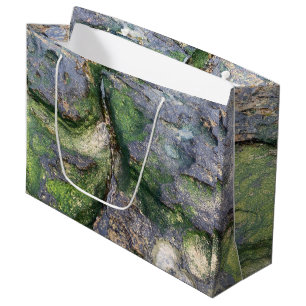 Jadegrüne Moosfelsen am Strand von Toowoon Bay Große Geschenktüte