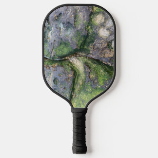 Jadegrüne Moosfelsen am Strand von Toowoon Bay Pickleball Schläger