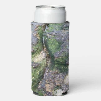 Jadegrüne Moosfelsen am Strand von Toowoon Bay Selters Dosenkühler