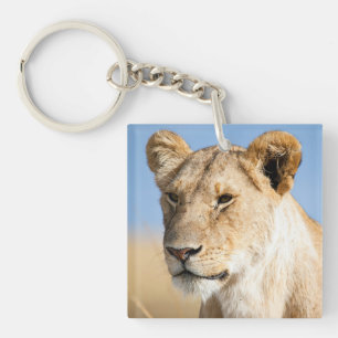 J'adore Africa Portrait d'une lionne photo