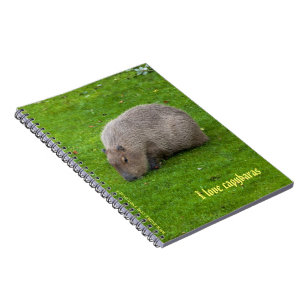 J'adore le cahier des capybaras