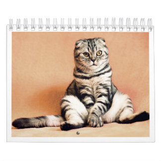 J'adore le calendrier des chats 2026