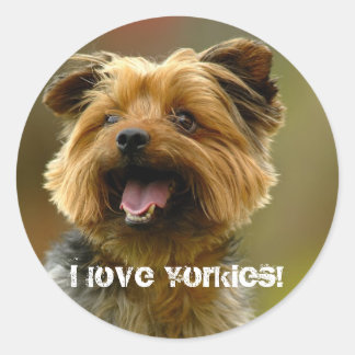 J'adore les Yorkies ! Autocollant