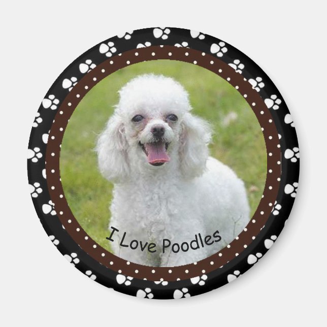 J'adore Poodles Magnet (Devant)