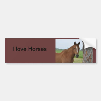 J'adore Sticker de pare-chocs pour chevaux