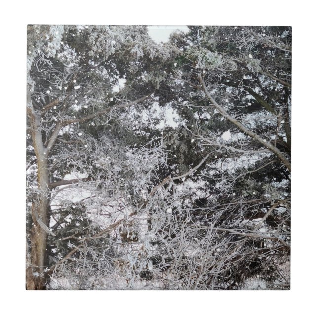 Jagd auf Camouflage-Schneepulver 4 Fliese (Vorderseite)
