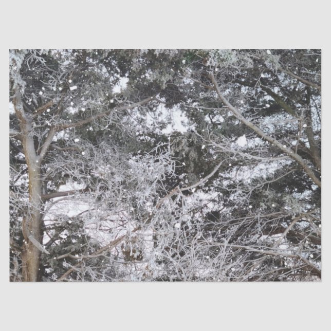 Jagd auf Camouflage-Schneepulver 4 Seidenpapier (Vorderseite)