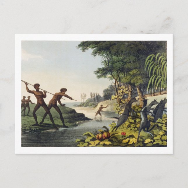 Jagd auf Kangaroo, Aborigines in New South Wale Postkarte (Vorderseite)