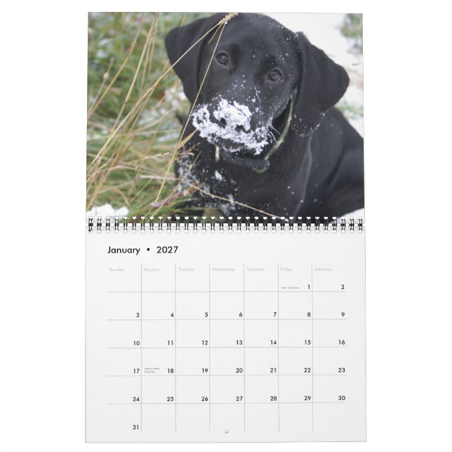 Jagd auf Labradore Kalender (Jan 2027)